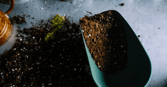9 conseils de recyclage pour protéger la planète dès maintenant ! - Simplethings