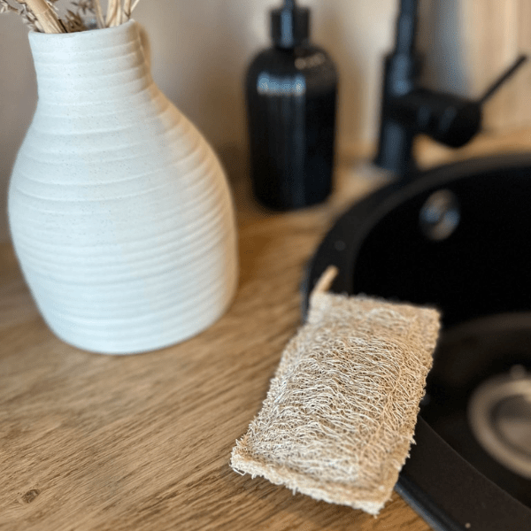 Éponge Vaisselle en Luffa : Écologique et Solidaire - Simplethings