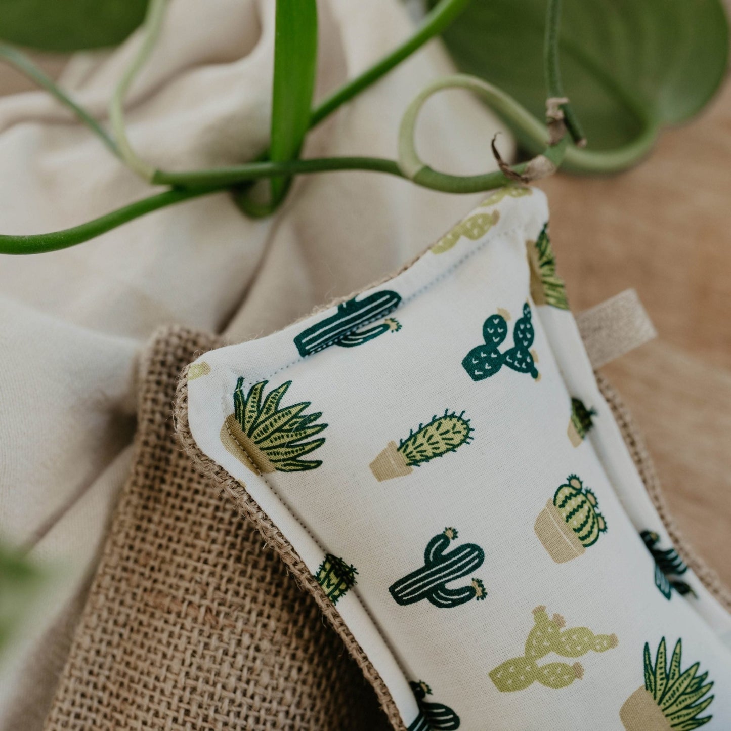Eponge Lavable Cactus - Simplethings