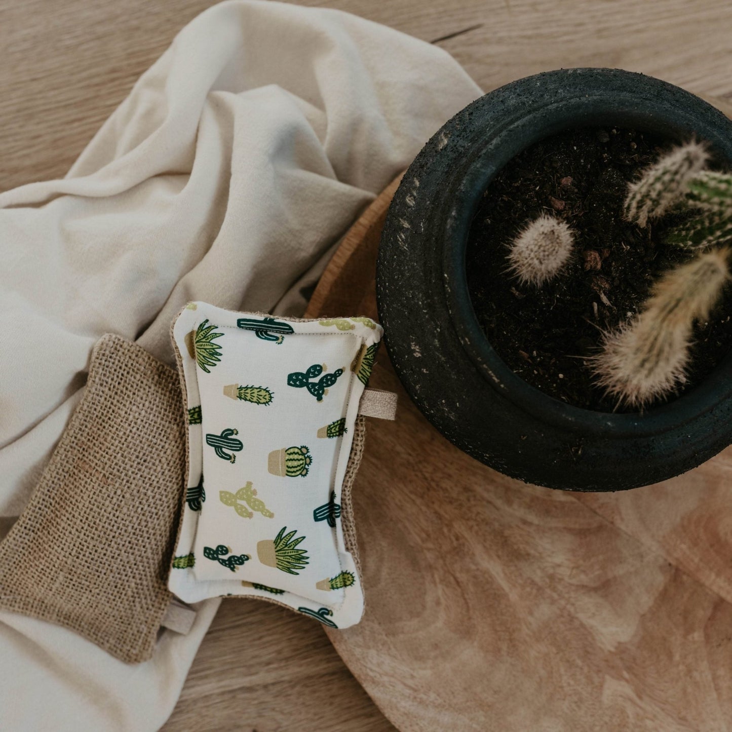 Eponge Lavable Cactus - Simplethings
